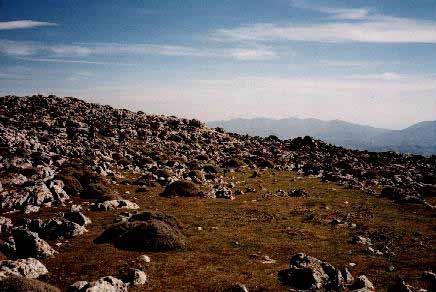 Aspecto de la meseta de la cumbre de sierra Cabrilla, con el caracterstico puzle de pastizal, piornos y afloramientos de caliza.