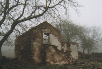 Ruinas del cortijo de los asesinatos en un da de niebla tal como el que aprovech Flores Arrocha para acercarse a sus vctimas.